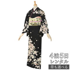 https://thumbnail.image.rakuten.co.jp/@0_mall/kimono-yumeyakata/cabinet/h100-199/h196-0.jpg