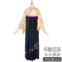 【レンタル】【訳あり】袴 レンタル 先生 女 袴セット 教員 職員 先生〔HG051〕 ピンクベージュ 雲取り雅楽の調べ 正絹 卒業式 袴 フルセット 女性 はかま ハカマ レンタル 貸衣装 かしいしょう 送料無料(一部地域を除く)(4)