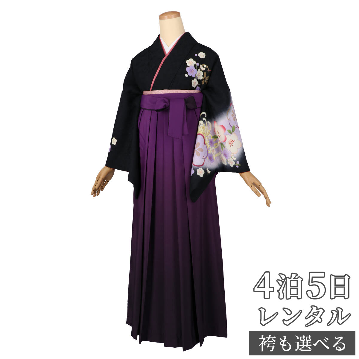 【レンタル】袴 レンタル 先生 女 袴セット 教員 職員 先生〔HG1135〕 黒 薄桜ぼかし線 菊に梅 正絹 卒業式 袴 フルセット 女性 はかま ハカマ レンタル 貸衣装 かしいしょう 送料無料(一部地域を除く)