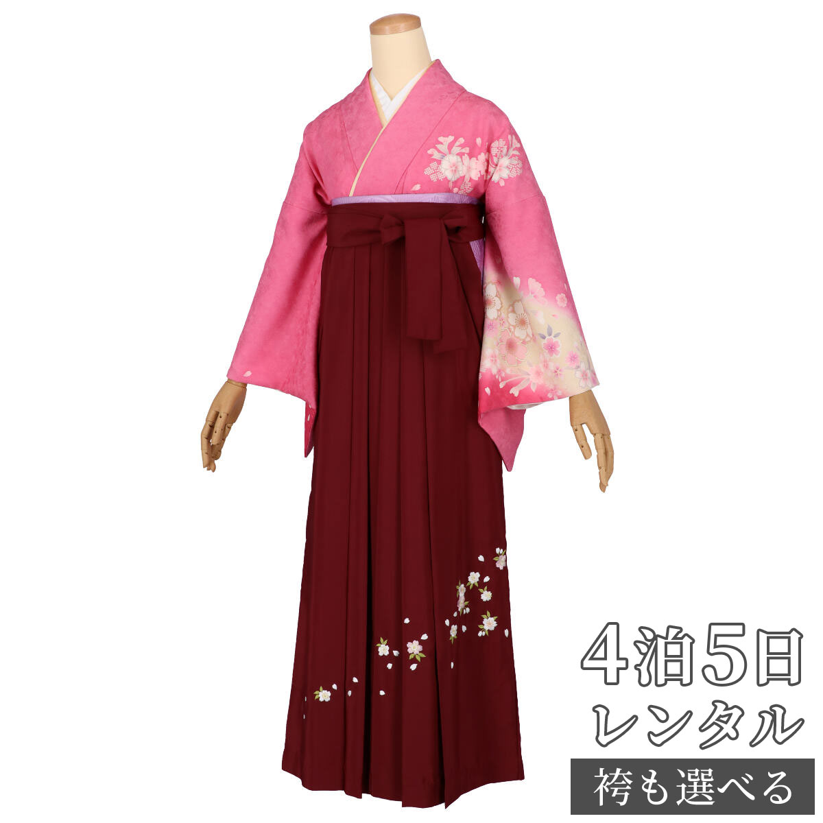 【レンタル】袴 レンタル 先生 女 袴セット 教員 職員 先生〔HG1160〕 ピンク×クリームぼかし 桜 正絹 卒業式 袴 フルセット 女性 はかま ハカマ レンタル 貸衣装 かしいしょう 送料無料(一部地域を除く)