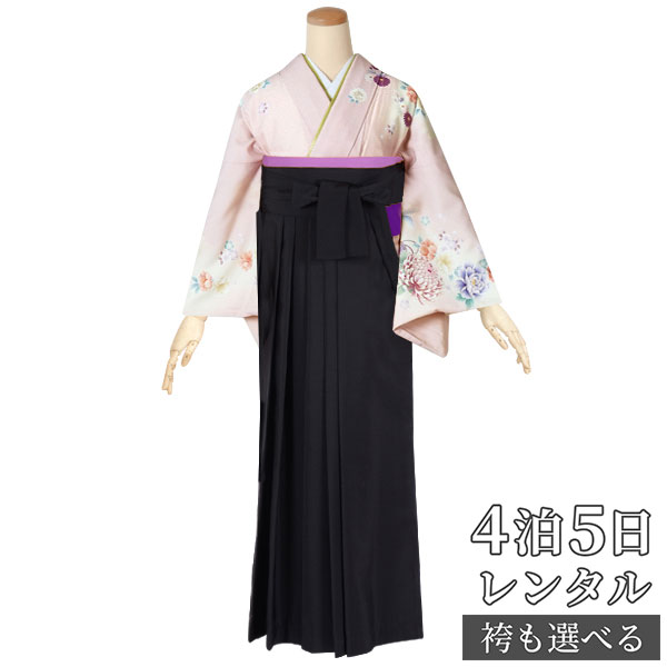 【レンタル】乙葉 袴 レンタル 先生 女 袴セット 教員 職員 先生〔HG611〕 ピンク クリームぼかし 菊と手鞠 ポリエステル 卒業式 袴 フルセット 女性 はかま ハカマ レンタル 貸衣装 かしいしょう 送料無料(一部地域を除く)