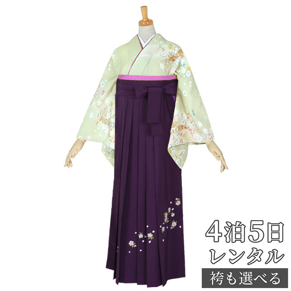 スーパーSALE1000円オフ!!【レンタル】袴 レンタル 先生 女 袴セット 教員 職員 先生〔HG680〕 黄緑 桜に短冊 卒業式 袴 フルセット 女性 はかま ハカマ レンタル 貸衣装 かしいしょう 送料無料