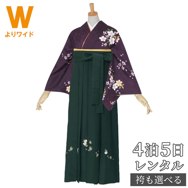 【レンタル】袴 レンタル 先生 女 袴セット 教員 職員 先生〔HG682〕 紫　桜に菊花車文様 正絹 卒業式 ..