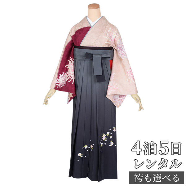 【レンタル】袴 レンタル 先生 女 袴セット 教員 職員 先生〔HG683〕 灰桜 糸菊 正絹 卒業式 袴 フルセット 女性 はかま ハカマ レンタル 貸衣装 かしいしょう 送料無料(一部地域を除く)
