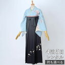 【レンタル】袴 レンタル 先生 女 袴セット 教員 職員 先生〔HG987〕 水色 辻が花文様 正絹 卒業式 袴 フルセット 女性 はかま ハカマ レンタル 貸...