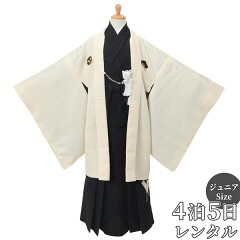 https://thumbnail.image.rakuten.co.jp/@0_mall/kimono-yumeyakata/cabinet/jy001-100/jy012-0.jpg