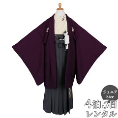 https://thumbnail.image.rakuten.co.jp/@0_mall/kimono-yumeyakata/cabinet/jy001-100/jy023-0.jpg