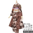 【成人式 振袖 レンタル】RS190茶色 大菊と八重桜フルセット 往復送料無料 /女性和服/結婚式 和服 着物セット/小物 セット 振り袖 【レンタル】【訳あり】