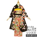 【成人式 振袖 レンタル】RS1066 正絹 茶 毬に桜流水フルセット 往復送料無料 /女性和服/結婚式 和服 着物セット/小物 セット 振り袖 【レンタル】