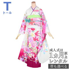 https://thumbnail.image.rakuten.co.jp/@0_mall/kimono-yumeyakata/cabinet/r1600-1699/r1636-f-00.jpg