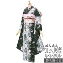 【成人式 振袖 レンタル】RS1681黒 百合カサブランカと蝶々(グレー系)フルセット 往復送料無料 /女性和服/結婚式 和服 着物セット/小物 セット 振り袖 【レンタル】【訳あり】
