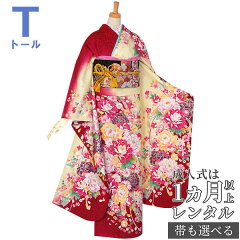 https://thumbnail.image.rakuten.co.jp/@0_mall/kimono-yumeyakata/cabinet/r900-999/r942-f-00.jpg