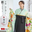 早期お届けキャンペーン【レンタル】Lako Kula 袴 レンタル 卒業式 女 袴セット 振袖&袴〔RR1205〕「グリーン チューリップにリボン」 フルセット 貸衣装 女 レディース 送料無料