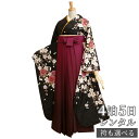 早期お届けキャンペーン【レンタル】【訳あり】袴 レンタル 卒業式 女 袴セット 振袖&袴〔RR256〕「黒 しだれ桜」 フルセット 貸衣装 女 レディース 送料無料