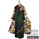 早期お届けキャンペーン【レンタル】【訳あり】袴 レンタル 卒業式 女 袴セット 振袖&袴〔RR717〕「黒 金彩 菊花に藤松文様」 フルセット 貸衣装 女 レディース 送料無料