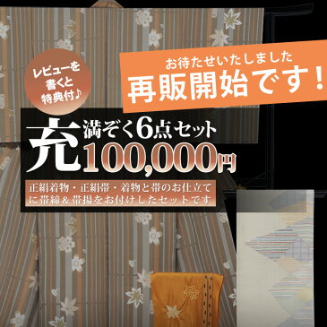 訪問着 着物 セット 小紋 付下げ 正絹 【 お仕立て上がり 】【フルオーダ—仕立付 着物 帯 帯締 帯揚 粗品】 【 送料無料 】【正絹着物】【レンタルより安い】 続々楽天入賞企画 充満ぞくセット（6点セット）【 SALE対象外 】 【 ★★★ 】