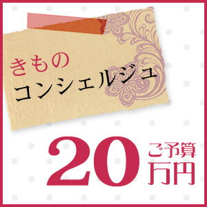 着物 きもの きものコンシェルジュ「ご予算20万円」 1