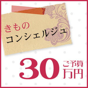 着物 きもの きものコンシェルジュ「ご予算30万円」