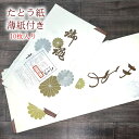 薄紙付き たとう紙 10枚 送料無料 うす紙 着物 包む 紙 窓付き文庫紙 着物用 帯用 羽織用 長襦袢用 大・小 金銀菊模様 雲竜紙 着物の畳み方冊子つき た...
