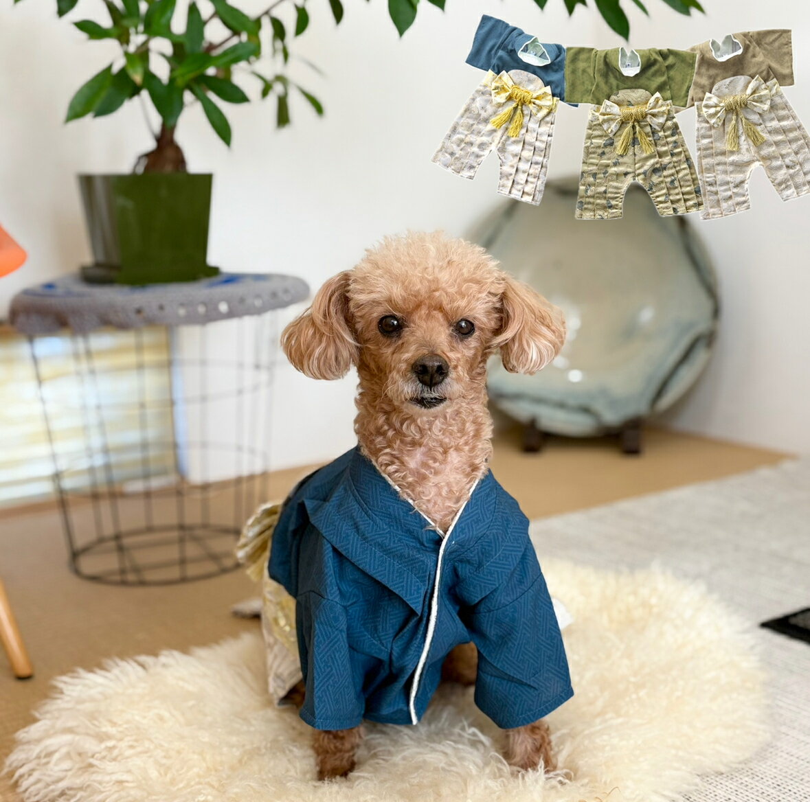 楽天市場】犬筥の通販 楽天市場】犬筥の通販
