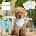 犬 服 iDog COOL Chill テディベアタンク 接触冷感 アイドッグ iDog 犬の服 ドッグウェア ペット チワワ プードル 犬 犬 散歩
