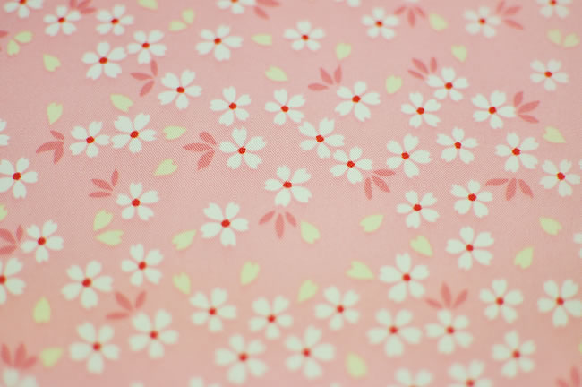 ���ݥ����2�ܡ���LINE��Ͽ��5%OFF�� ���޻� ȩ�奻�å� �������岼 ȩ��ۤȿ��褱�Υ��å� �� �ԥ� ���� ����