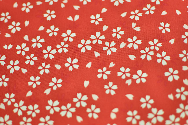 ���ݥ����2�ܡ���LINE��Ͽ��5%OFF�� ���޻� ȩ�奻�å� �������岼 ���� ���� ȩ��ۤȿ��褱�Υ��å� �� �� ���� 753 ���� ����