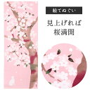 見上げれば桜満開 濱文様 てぬぐい 絵てぬぐい タペストリー 季節柄 横浜捺染 伝統技術 さくら ピンク 白猫 ネコ 和 モダン インテリア 壁掛け 綿100%...