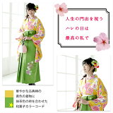 黄色の古典柄に刺繍入り若草色の無地袴