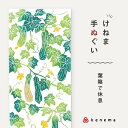 kenema 手ぬぐい 葉陰で休息 日本製 注染 手拭い けねま 気音間 夏 へちま 猫 宮本 綿100% コットン エコ 母の日 誕生日 プレゼント ギフト ...