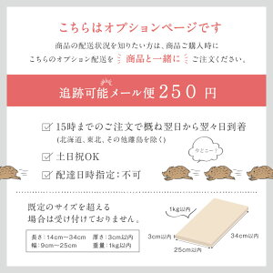 【オプション配送】追跡可能メール便(有料)250円