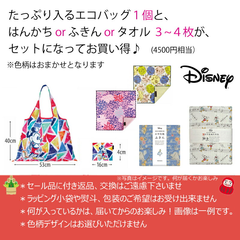 福袋 ハッピーバッグ ディズニー Disney 2way エコバッグ 今治産 蚊帳生地 綿100% ガーゼ パイル ハンカチ マザーズバッグ コンビニ 買い物袋 えこばっぐ ショッピングバッグ プチギフト メール2 huku-07