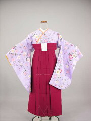 https://thumbnail.image.rakuten.co.jp/@0_mall/kimonokirara/cabinet/ikou_20100128/img10395031508.jpg