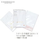 襦袢 半襦袢 うそつき半襦袢 3点セット「腰紐もベルトも要らない!超楽ちんの半襦袢」お買い得3点セット うそつき半襦袢(半襟付き)+裾避け+替え袖 白 ホワイト...