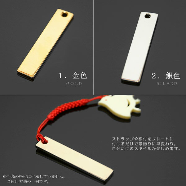 �Ӿ��ꡢ���դ��ץ졼�ȡֶ�/�����2�� �ץ졼�ȤΤߤ�ñ������[ ������ʪ ]��R��ss2503wkm10