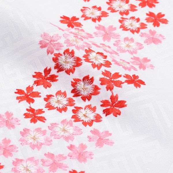 �ɽ� Ⱦ�ޡ��򿧡��� �ԥ󥯤κ��ɽ��׼��޻��� �Ҷ�Ⱦ�� �ɽ�Ⱦ�� ���޻���ʪ �ڥ᡼�����б��ġۡ�H��