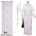 【Prices down】洗える着物 セミオーダー「白藤色 変わり縞に草花」ハナエモリ 小紋 お仕立て代込み ポリエステル着物 H-104 A<H>【メール便不...