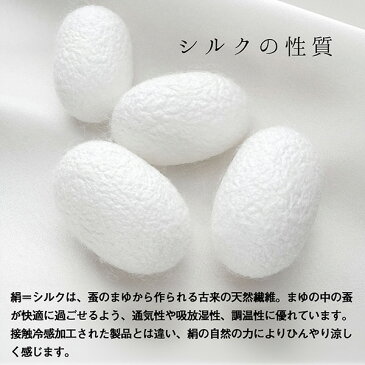 (即納) マスク 日本製 洗える マスク 日本製 冷感 シルク マスク 日本 製 抗菌 小杉織物謹製 「肌にやさしい 洗える 涼やか絹マスク」特殊メッシュ織り 抗菌性 UVカット 洗えるマスク 大人 男女兼用 絹 不織布フィルター プリーツマスク 勝負マスク