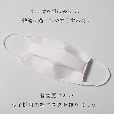 【即納】マスク 日本製 洗える マスク 日本製 夏用 シルク マスク 日本 製 抗菌 夏用 小杉織物謹製 「肌にやさしい 洗える絹マスク」 在庫あり 紫外線カット 洗えるマスク 小学生 女の子 男の子 小さめ女性用 男女兼用 絹 不織布フィルター入り 秋用 冬用 秋冬用 春用