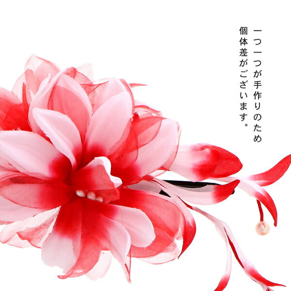 ��Prices down3�ۡ�������ۡڥ����ȥ�å��ʡ� ����å�ȱ���� �֥��ꥢ��˼���ꡡ����åס���2���� �إ����������꡼ ����ѡ��Ҷ��� ��ǥ����� ��ʪ ���� ��� �����奢����ʪ ���޻� ���λ� ���ݥ���� ȱ����ñ�ʡڥ᡼�����Բġ�ss2506wkk10