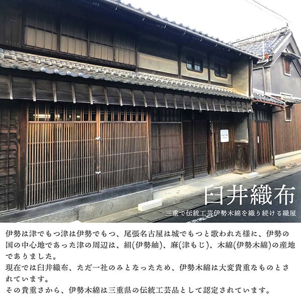 伊勢木綿 洗える着物 単品「やたら縞　ノベルティストライプ」お仕立て上がり 木綿きもの 日本製 三重県 伝統工芸品 単衣 綿 カジュアル チェック 小紋 レディース キモノ kimono【メール便不可】