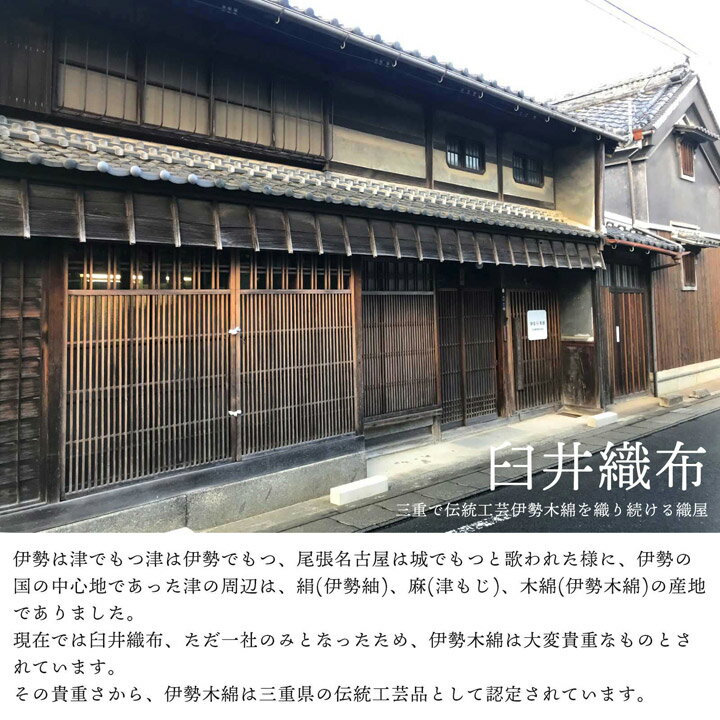 伊勢木綿 洗える着物 反物 レディース「縞 栗皮色地、薄荷」未仕立て 木綿きもの 日本製 三重県 伝統工芸品 単衣 綿 カジュアル 小紋 レディース【メール便不可】