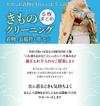 着物クリーニング 京洗い 6枚まとめ 着物/訪問着/紬/大島/小紋/付下げ/色無地/振袖/単衣着物/留袖/喪服/袴/長襦袢/帯/羽織/浴衣など きもの丸洗い