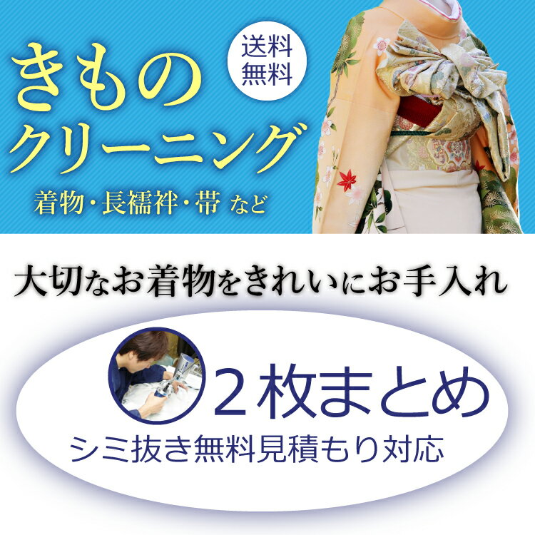 着物クリーニング 京洗い 2枚まとめ 着物 訪問着 紬 大島 小紋 付下げ 色無地 振袖 単衣着物 留袖 喪服 袴 長襦袢 帯 羽織 浴衣など きもの丸洗い