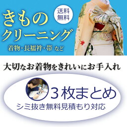 着物クリーニング 京洗い 3枚まとめ 着物 訪問着 紬 大島 小紋 付下げ 色無地 振袖 単衣着物 留袖 喪服 袴 長襦袢 帯 羽織 浴衣など きもの丸洗い