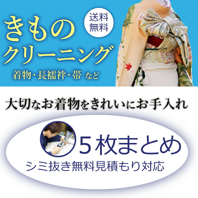 着物クリーニング 京洗い 5枚まとめ 着物 訪問着 紬 大島 小紋 付下げ 色無地 振袖 単衣着物 留袖 喪服 袴 長襦袢 帯 羽織 浴衣など きもの丸洗い