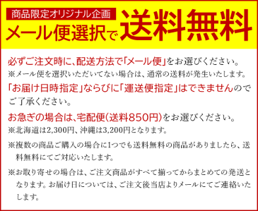 松寿庵 リーズナブルシリーズ 紳士用布扇子/NO.BSK 龍・虎・風神雷神 男性用 全長約22cm/ポリエステル 全3色 間数30【メール便対応OK】