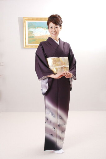 【レンタル】 訪問着 レンタル hs-11【七五三 卒業式 入学式 結婚式 披露宴 参列】 【レンタル】 訪問着 レンタル hs-11【七五三 卒業式 入学式 結婚式 披露宴 参列】