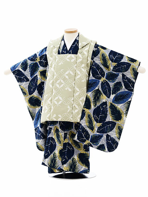 七五三 着物レンタル 3歳 男の子 被布(3歳男の子)七五三(3才男)A259薄グリーン七宝×白地紺葉文様 レンタル 3歳 男児 753 着物 男の子 着物レン...