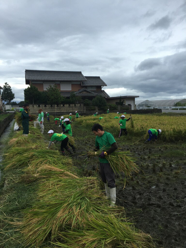 【無農薬栽培】コシヒカリ　環境こだわり米　玄米　10kg【平成30年・滋賀県産】